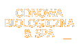 Odnowa biologiczna & SPA